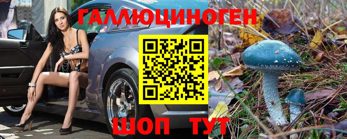 Лабинск  Псилоцибиновые грибы мухоморы  Вход с VPN 